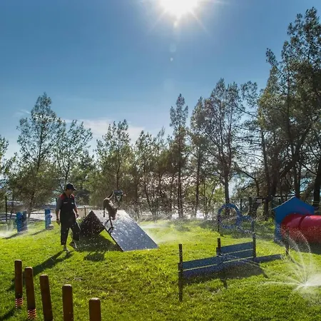 Camping Adria Mobile Homes Lanterna פארק נופש פורץ